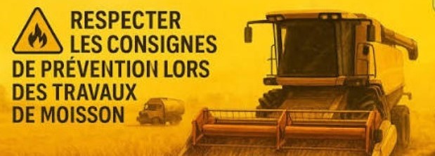moisson canicule